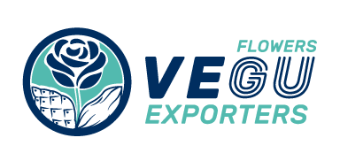 Vegu Exporters Ecuador